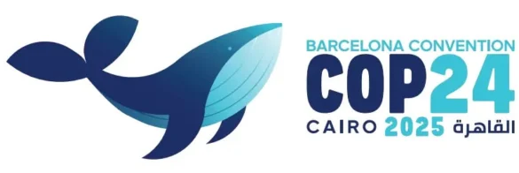 COP 24 Cairo: A 50-Year Turning Point for the Mediterranean Sea - CEDARE